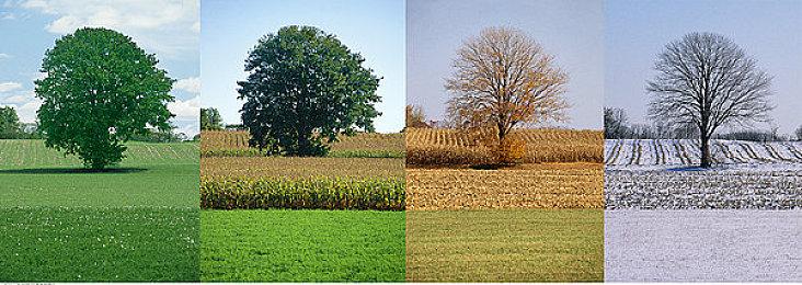 英特尔新旗舰Ultra 9 285K包装盒造型公布