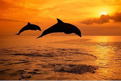 《生化危机4：重制版》泄露版截图 艾达王性感妖娆